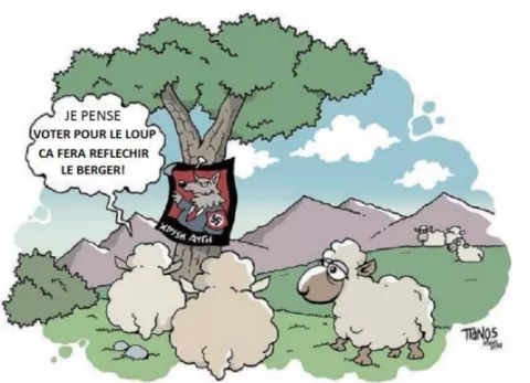 Cartoon evoqué par S Berger dans sa conférence